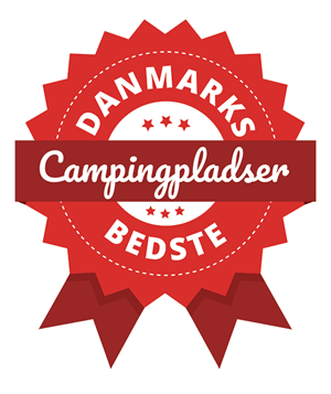 Bramslev Bakker Camping — photo 2