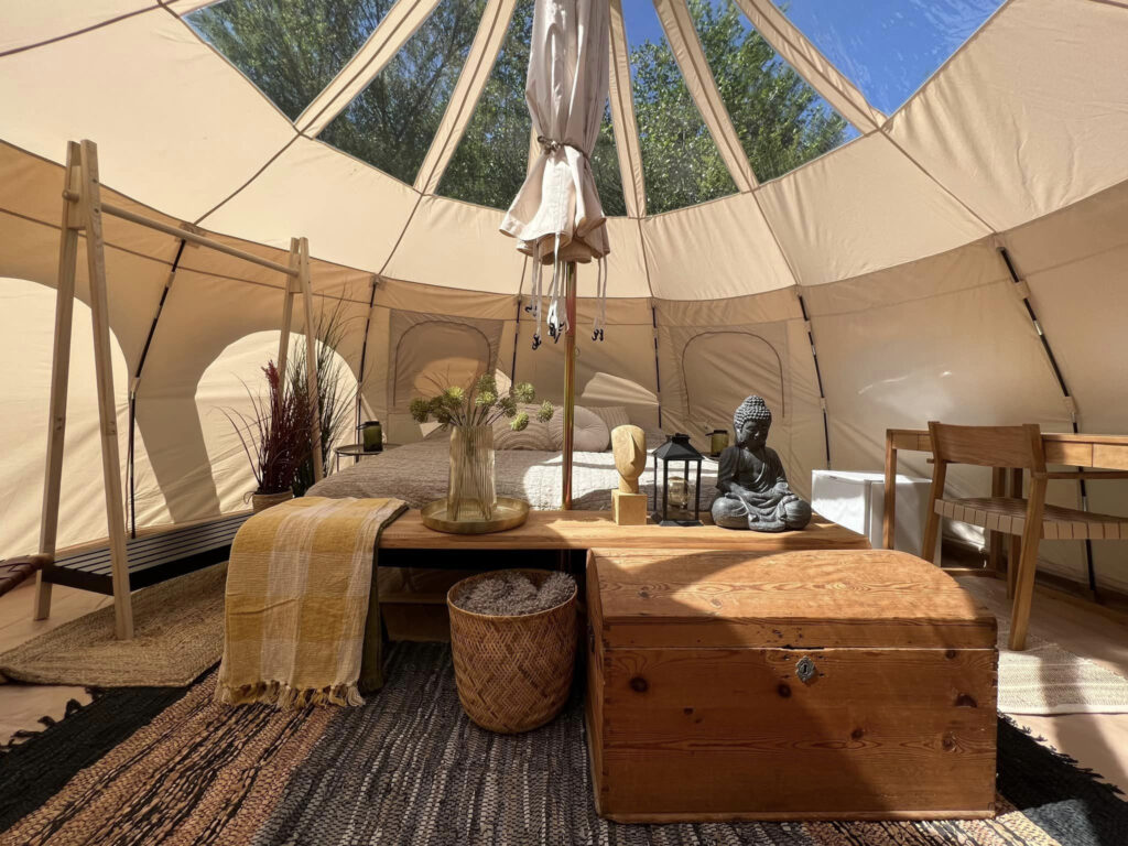 f81d6d79-7428-4cc4-be80-32599e3ba48b_large